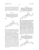 COMPOSITIONS HAVING C-17 AND C-3 MODIFIED TRITERPENOIDS WITH HIV     MATURATION INHIBITORY ACTIVITY diagram and image