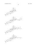 COMPOSITIONS HAVING C-17 AND C-3 MODIFIED TRITERPENOIDS WITH HIV     MATURATION INHIBITORY ACTIVITY diagram and image