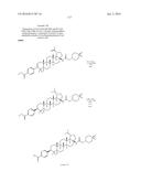 COMPOSITIONS HAVING C-17 AND C-3 MODIFIED TRITERPENOIDS WITH HIV     MATURATION INHIBITORY ACTIVITY diagram and image