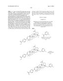 COMPOSITIONS HAVING C-17 AND C-3 MODIFIED TRITERPENOIDS WITH HIV     MATURATION INHIBITORY ACTIVITY diagram and image