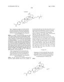 COMPOSITIONS HAVING C-17 AND C-3 MODIFIED TRITERPENOIDS WITH HIV     MATURATION INHIBITORY ACTIVITY diagram and image