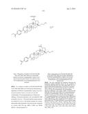 COMPOSITIONS HAVING C-17 AND C-3 MODIFIED TRITERPENOIDS WITH HIV     MATURATION INHIBITORY ACTIVITY diagram and image