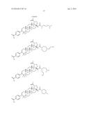 COMPOSITIONS HAVING C-17 AND C-3 MODIFIED TRITERPENOIDS WITH HIV     MATURATION INHIBITORY ACTIVITY diagram and image