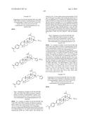 COMPOSITIONS HAVING C-17 AND C-3 MODIFIED TRITERPENOIDS WITH HIV     MATURATION INHIBITORY ACTIVITY diagram and image