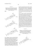 COMPOSITIONS HAVING C-17 AND C-3 MODIFIED TRITERPENOIDS WITH HIV     MATURATION INHIBITORY ACTIVITY diagram and image