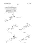 COMPOSITIONS HAVING C-17 AND C-3 MODIFIED TRITERPENOIDS WITH HIV     MATURATION INHIBITORY ACTIVITY diagram and image