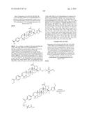 COMPOSITIONS HAVING C-17 AND C-3 MODIFIED TRITERPENOIDS WITH HIV     MATURATION INHIBITORY ACTIVITY diagram and image