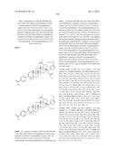 COMPOSITIONS HAVING C-17 AND C-3 MODIFIED TRITERPENOIDS WITH HIV     MATURATION INHIBITORY ACTIVITY diagram and image