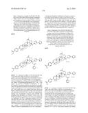 COMPOSITIONS HAVING C-17 AND C-3 MODIFIED TRITERPENOIDS WITH HIV     MATURATION INHIBITORY ACTIVITY diagram and image