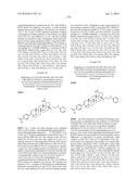 COMPOSITIONS HAVING C-17 AND C-3 MODIFIED TRITERPENOIDS WITH HIV     MATURATION INHIBITORY ACTIVITY diagram and image