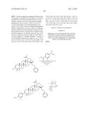 COMPOSITIONS HAVING C-17 AND C-3 MODIFIED TRITERPENOIDS WITH HIV     MATURATION INHIBITORY ACTIVITY diagram and image