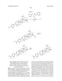 COMPOSITIONS HAVING C-17 AND C-3 MODIFIED TRITERPENOIDS WITH HIV     MATURATION INHIBITORY ACTIVITY diagram and image