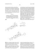 COMPOSITIONS HAVING C-17 AND C-3 MODIFIED TRITERPENOIDS WITH HIV     MATURATION INHIBITORY ACTIVITY diagram and image