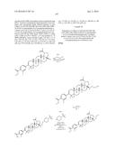 COMPOSITIONS HAVING C-17 AND C-3 MODIFIED TRITERPENOIDS WITH HIV     MATURATION INHIBITORY ACTIVITY diagram and image