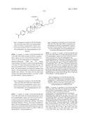 COMPOSITIONS HAVING C-17 AND C-3 MODIFIED TRITERPENOIDS WITH HIV     MATURATION INHIBITORY ACTIVITY diagram and image