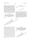 COMPOSITIONS HAVING C-17 AND C-3 MODIFIED TRITERPENOIDS WITH HIV     MATURATION INHIBITORY ACTIVITY diagram and image