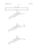 COMPOSITIONS HAVING C-17 AND C-3 MODIFIED TRITERPENOIDS WITH HIV     MATURATION INHIBITORY ACTIVITY diagram and image