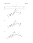 COMPOSITIONS HAVING C-17 AND C-3 MODIFIED TRITERPENOIDS WITH HIV     MATURATION INHIBITORY ACTIVITY diagram and image