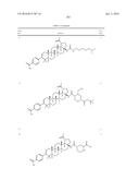 COMPOSITIONS HAVING C-17 AND C-3 MODIFIED TRITERPENOIDS WITH HIV     MATURATION INHIBITORY ACTIVITY diagram and image