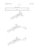 COMPOSITIONS HAVING C-17 AND C-3 MODIFIED TRITERPENOIDS WITH HIV     MATURATION INHIBITORY ACTIVITY diagram and image