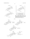 COMPOSITIONS HAVING C-17 AND C-3 MODIFIED TRITERPENOIDS WITH HIV     MATURATION INHIBITORY ACTIVITY diagram and image