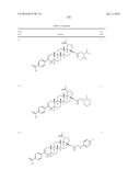 COMPOSITIONS HAVING C-17 AND C-3 MODIFIED TRITERPENOIDS WITH HIV     MATURATION INHIBITORY ACTIVITY diagram and image