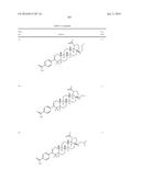 COMPOSITIONS HAVING C-17 AND C-3 MODIFIED TRITERPENOIDS WITH HIV     MATURATION INHIBITORY ACTIVITY diagram and image