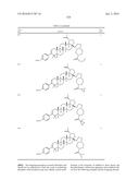 COMPOSITIONS HAVING C-17 AND C-3 MODIFIED TRITERPENOIDS WITH HIV     MATURATION INHIBITORY ACTIVITY diagram and image