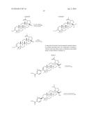 COMPOSITIONS HAVING C-17 AND C-3 MODIFIED TRITERPENOIDS WITH HIV     MATURATION INHIBITORY ACTIVITY diagram and image