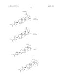 COMPOSITIONS HAVING C-17 AND C-3 MODIFIED TRITERPENOIDS WITH HIV     MATURATION INHIBITORY ACTIVITY diagram and image