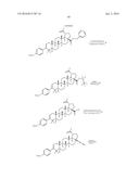 COMPOSITIONS HAVING C-17 AND C-3 MODIFIED TRITERPENOIDS WITH HIV     MATURATION INHIBITORY ACTIVITY diagram and image