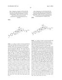 COMPOSITIONS HAVING C-17 AND C-3 MODIFIED TRITERPENOIDS WITH HIV     MATURATION INHIBITORY ACTIVITY diagram and image