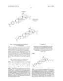 COMPOSITIONS HAVING C-17 AND C-3 MODIFIED TRITERPENOIDS WITH HIV     MATURATION INHIBITORY ACTIVITY diagram and image