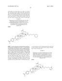 COMPOSITIONS HAVING C-17 AND C-3 MODIFIED TRITERPENOIDS WITH HIV     MATURATION INHIBITORY ACTIVITY diagram and image