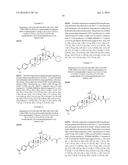 COMPOSITIONS HAVING C-17 AND C-3 MODIFIED TRITERPENOIDS WITH HIV     MATURATION INHIBITORY ACTIVITY diagram and image