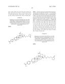 COMPOSITIONS HAVING C-17 AND C-3 MODIFIED TRITERPENOIDS WITH HIV     MATURATION INHIBITORY ACTIVITY diagram and image