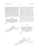 COMPOSITIONS HAVING C-17 AND C-3 MODIFIED TRITERPENOIDS WITH HIV     MATURATION INHIBITORY ACTIVITY diagram and image