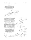 COMPOSITIONS HAVING C-17 AND C-3 MODIFIED TRITERPENOIDS WITH HIV     MATURATION INHIBITORY ACTIVITY diagram and image