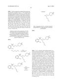 COMPOSITIONS HAVING C-17 AND C-3 MODIFIED TRITERPENOIDS WITH HIV     MATURATION INHIBITORY ACTIVITY diagram and image