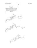 COMPOSITIONS HAVING C-17 AND C-3 MODIFIED TRITERPENOIDS WITH HIV     MATURATION INHIBITORY ACTIVITY diagram and image