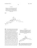 COMPOSITIONS HAVING C-17 AND C-3 MODIFIED TRITERPENOIDS WITH HIV     MATURATION INHIBITORY ACTIVITY diagram and image