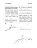 COMPOSITIONS HAVING C-17 AND C-3 MODIFIED TRITERPENOIDS WITH HIV     MATURATION INHIBITORY ACTIVITY diagram and image