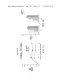 Use Of Unacylated Ghrelin, Fragments And Analogs Thereof As Antioxidant diagram and image