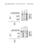 Use Of Unacylated Ghrelin, Fragments And Analogs Thereof As Antioxidant diagram and image