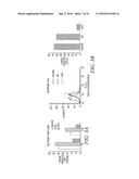 Use Of Unacylated Ghrelin, Fragments And Analogs Thereof As Antioxidant diagram and image