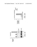 Use Of Unacylated Ghrelin, Fragments And Analogs Thereof As Antioxidant diagram and image