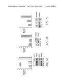 Use Of Unacylated Ghrelin, Fragments And Analogs Thereof As Antioxidant diagram and image