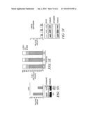 Use Of Unacylated Ghrelin, Fragments And Analogs Thereof As Antioxidant diagram and image