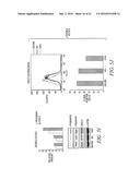 Use Of Unacylated Ghrelin, Fragments And Analogs Thereof As Antioxidant diagram and image