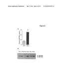 THERAPEUTIC METHOD OF TREATING METABOLIC DISORDERS diagram and image